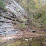 Image shows limestone cliff and creek. This property contains over 3 miles of streams, which are tributaries to the Cumberland River.