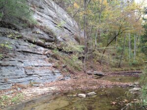 Image shows limestone cliff and creek. This property contains over 3 miles of streams, which are tributaries to the Cumberland River. 