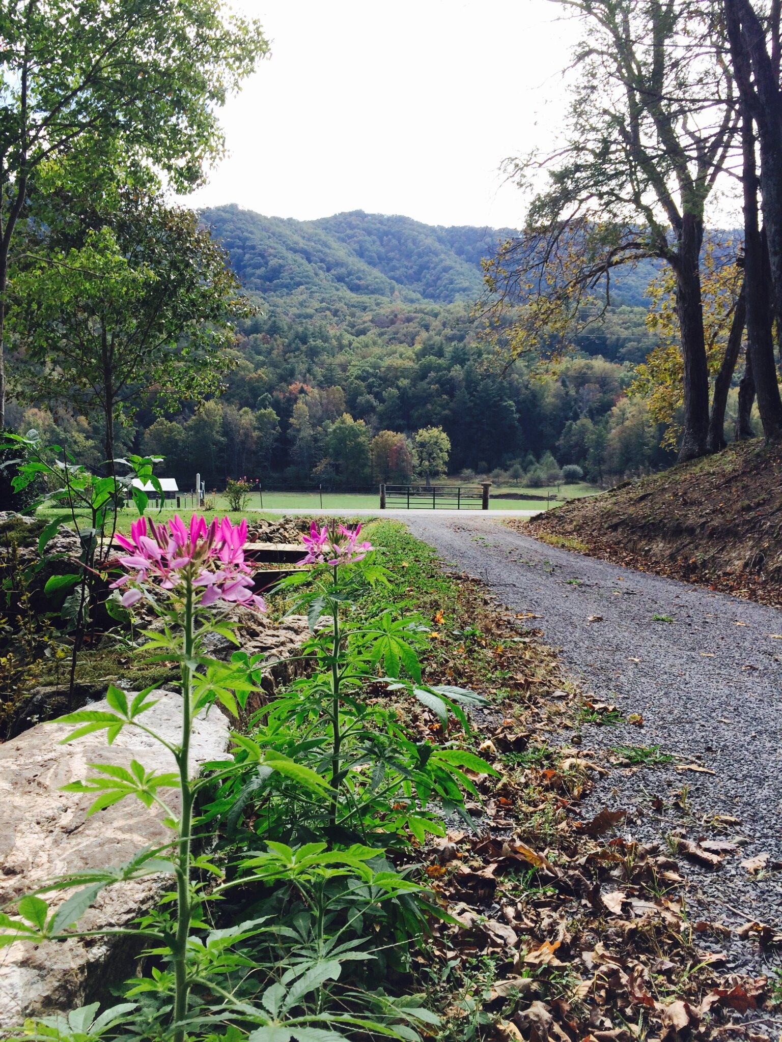 Our Story – Foothills Land Conservancy